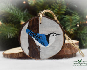 A hand-painted white-breasted nuthatch on a 3.5 inch diameter wood slice Christmas ornament at Cove Creek Photography.